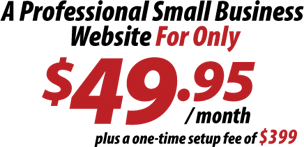 Affordable Professional Website Design